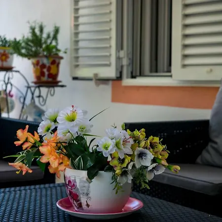 Lovorka With Heated Pool Appartement Orebić